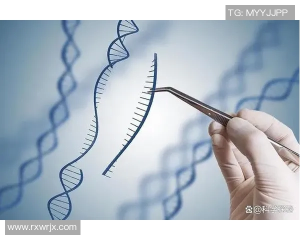 杭州网球队总决赛特别报道:从传统到创新的转型之路探索与挑战 杭州网球队总决赛特别报道:从传统到创新的转型之路探索与挑战