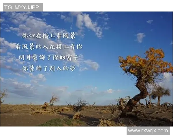 深度对话赵军探讨足球人生与职业生涯的心路历程与成长故事