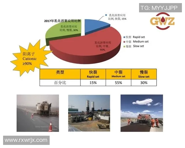 重庆排球队快攻战术解析与实战应用探讨